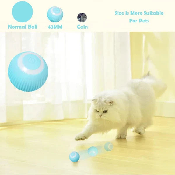 KittyPlay™ - Rotating Toy Ball