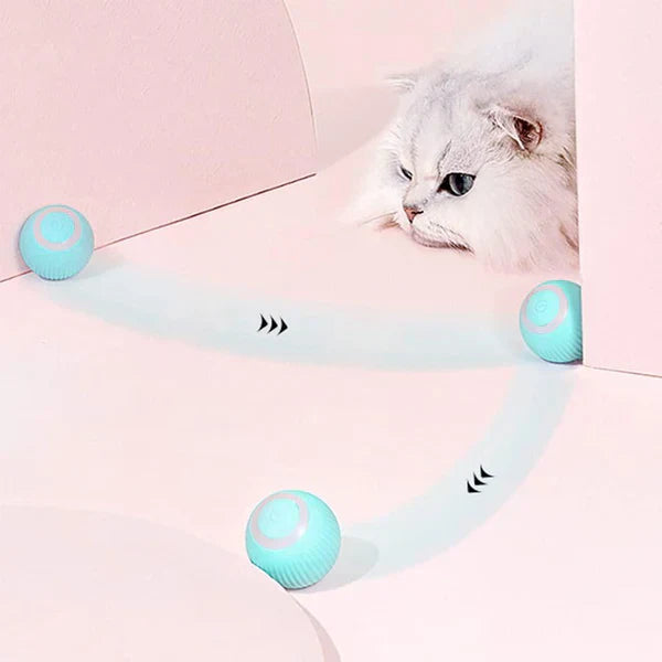 KittyPlay™ - Rotating Toy Ball