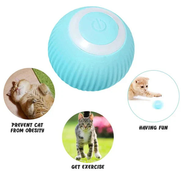 KittyPlay™ - Rotating Toy Ball