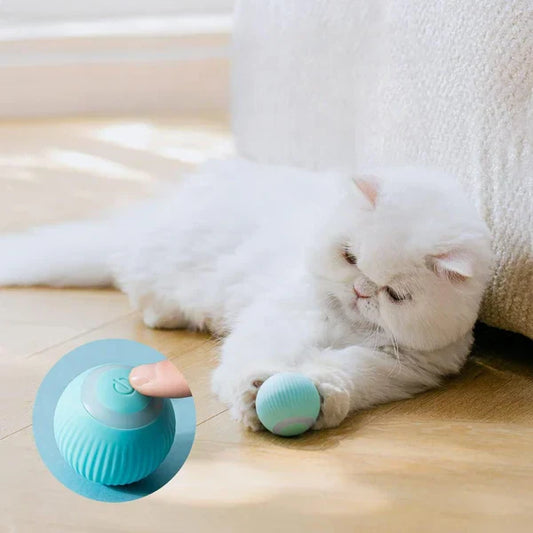 KittyPlay™ - Rotating Toy Ball